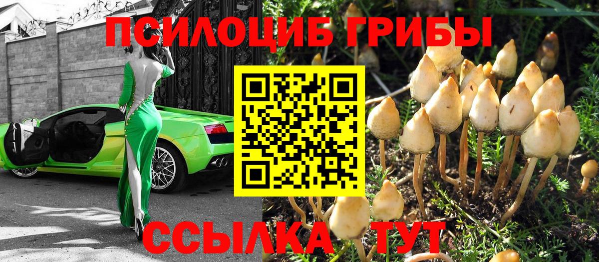 Галлюциногенные грибы MAGIC MUSHROOMS  Псилоцибиновые грибы ЛСД  Вход с VPN  Ангарск 